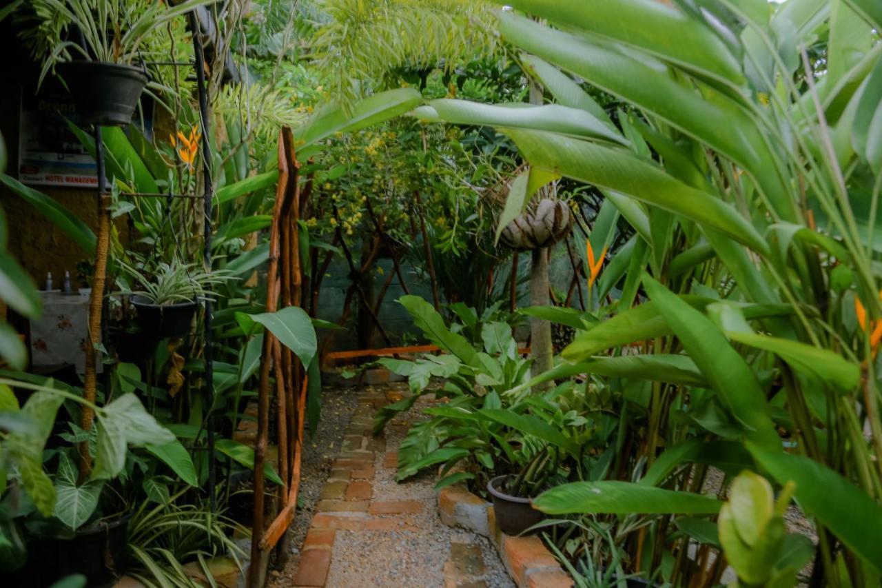 Ruwan Jungle Homestay Mirissa Eksteriør bilde