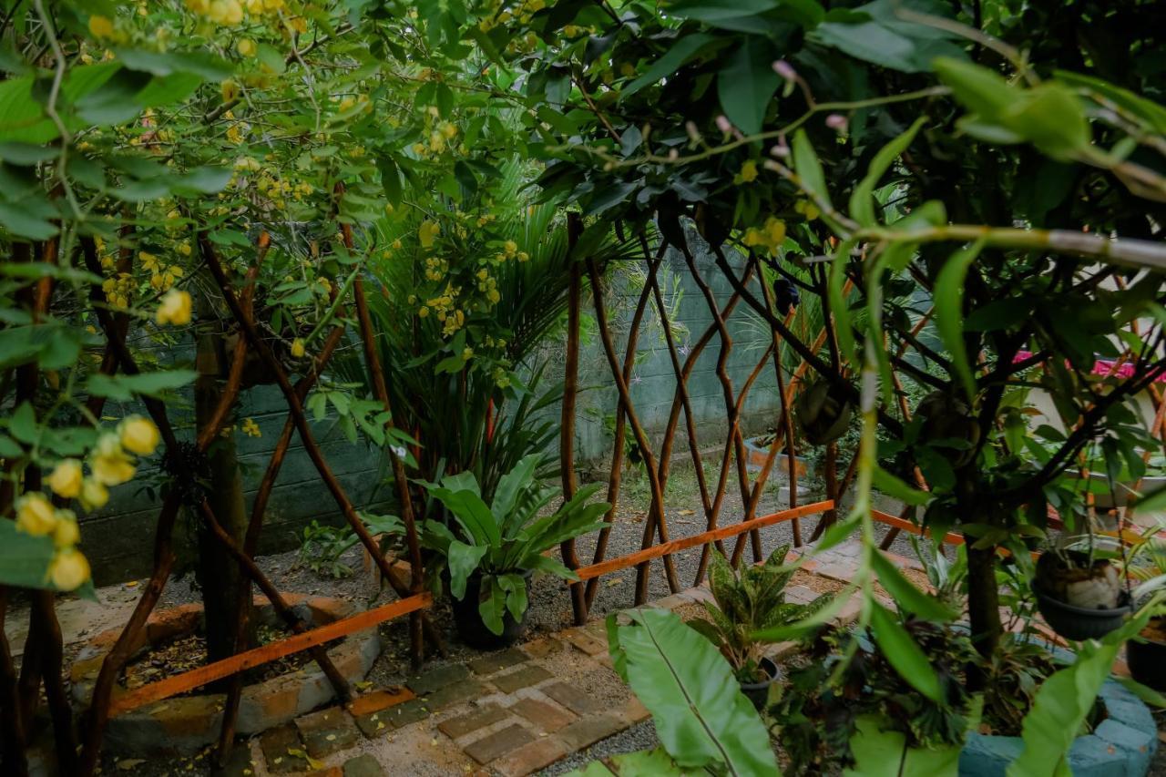 Ruwan Jungle Homestay Mirissa Eksteriør bilde