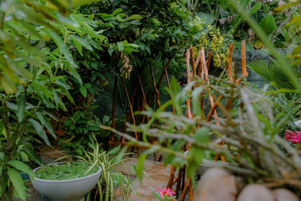Ruwan Jungle Homestay Mirissa Eksteriør bilde