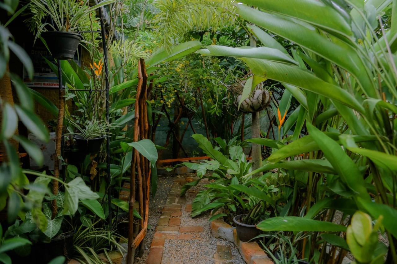 Ruwan Jungle Homestay Mirissa Eksteriør bilde