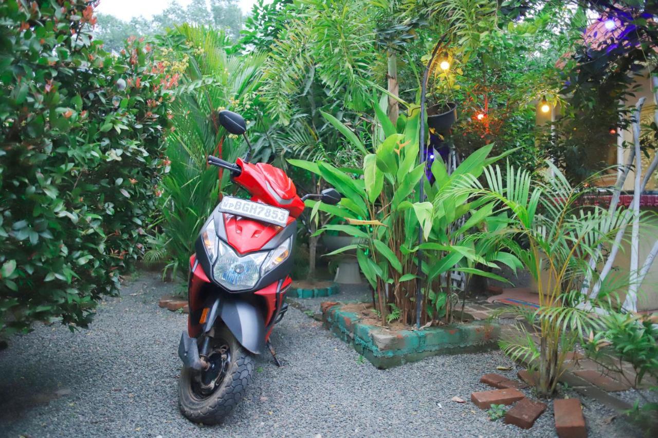 Ruwan Jungle Homestay Mirissa Eksteriør bilde