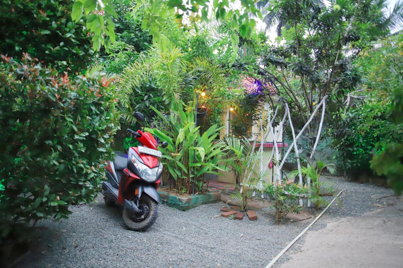 Ruwan Jungle Homestay Mirissa Eksteriør bilde