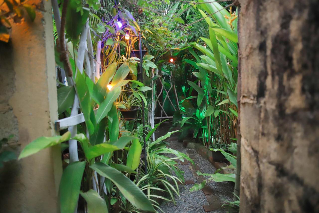 Ruwan Jungle Homestay Mirissa Eksteriør bilde