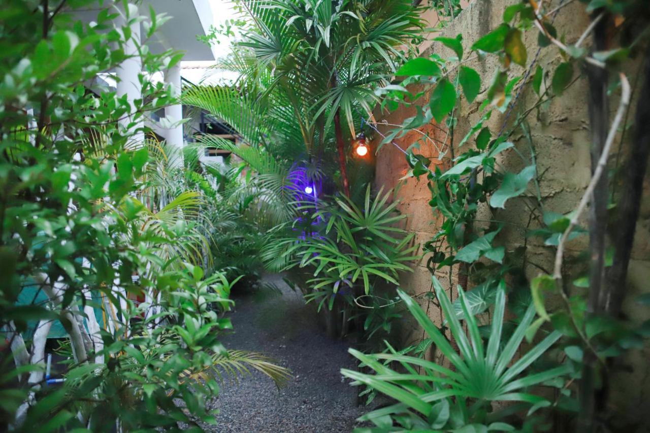 Ruwan Jungle Homestay Mirissa Eksteriør bilde
