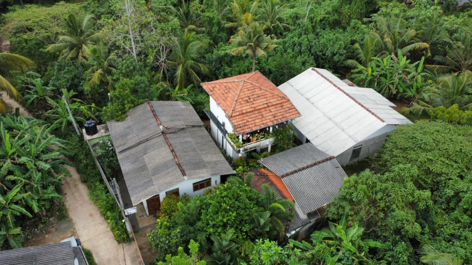 Ruwan Jungle Homestay Mirissa Eksteriør bilde