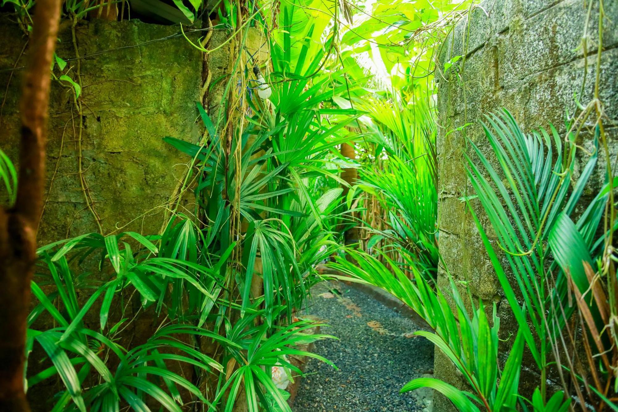 Ruwan Jungle Homestay Mirissa Eksteriør bilde