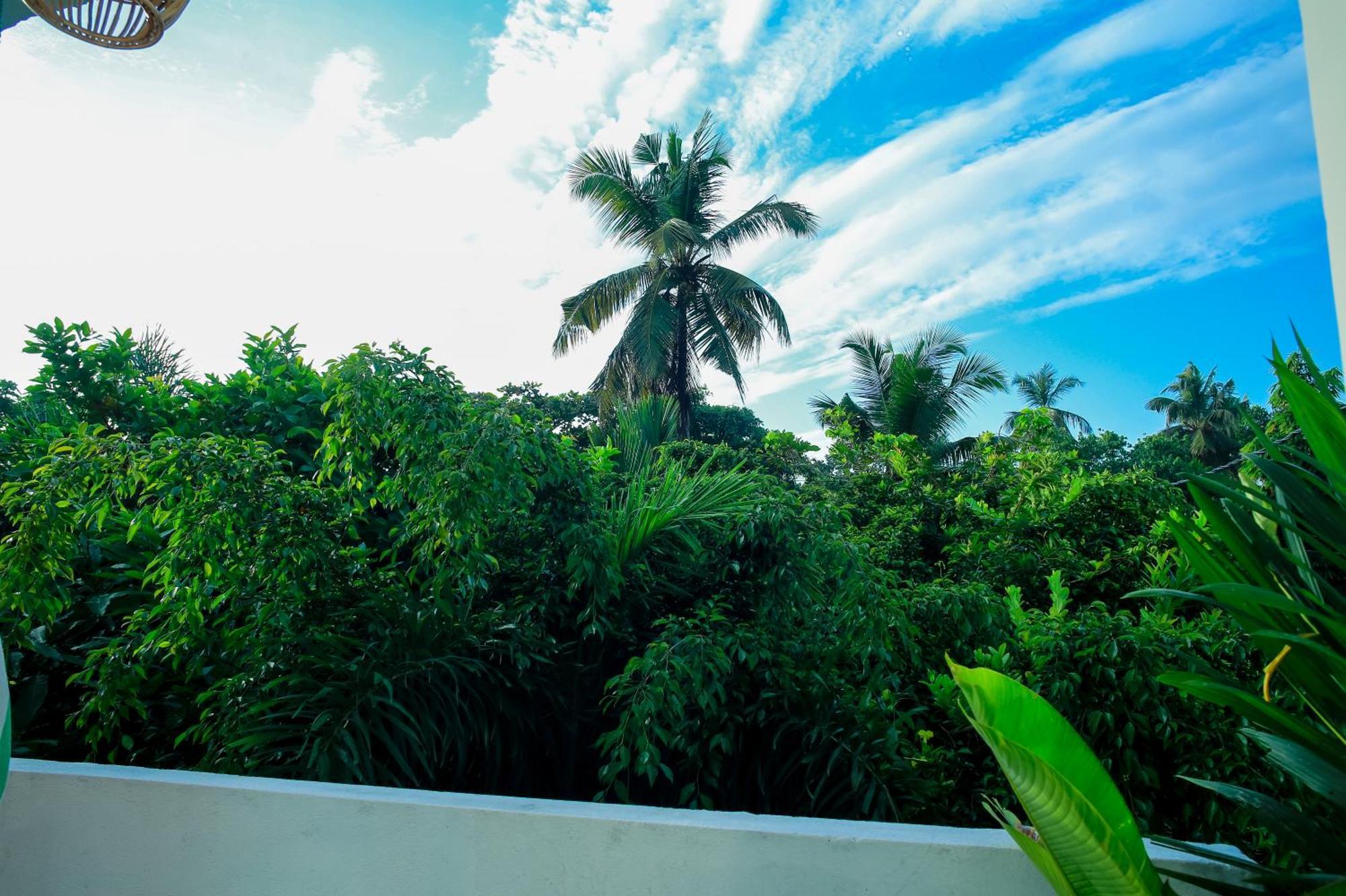 Ruwan Jungle Homestay Mirissa Eksteriør bilde