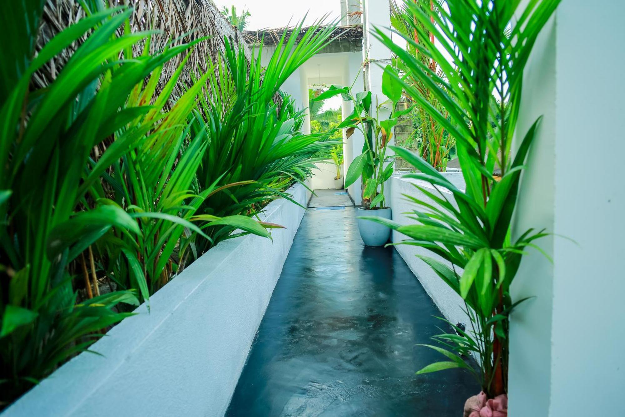 Ruwan Jungle Homestay Mirissa Eksteriør bilde