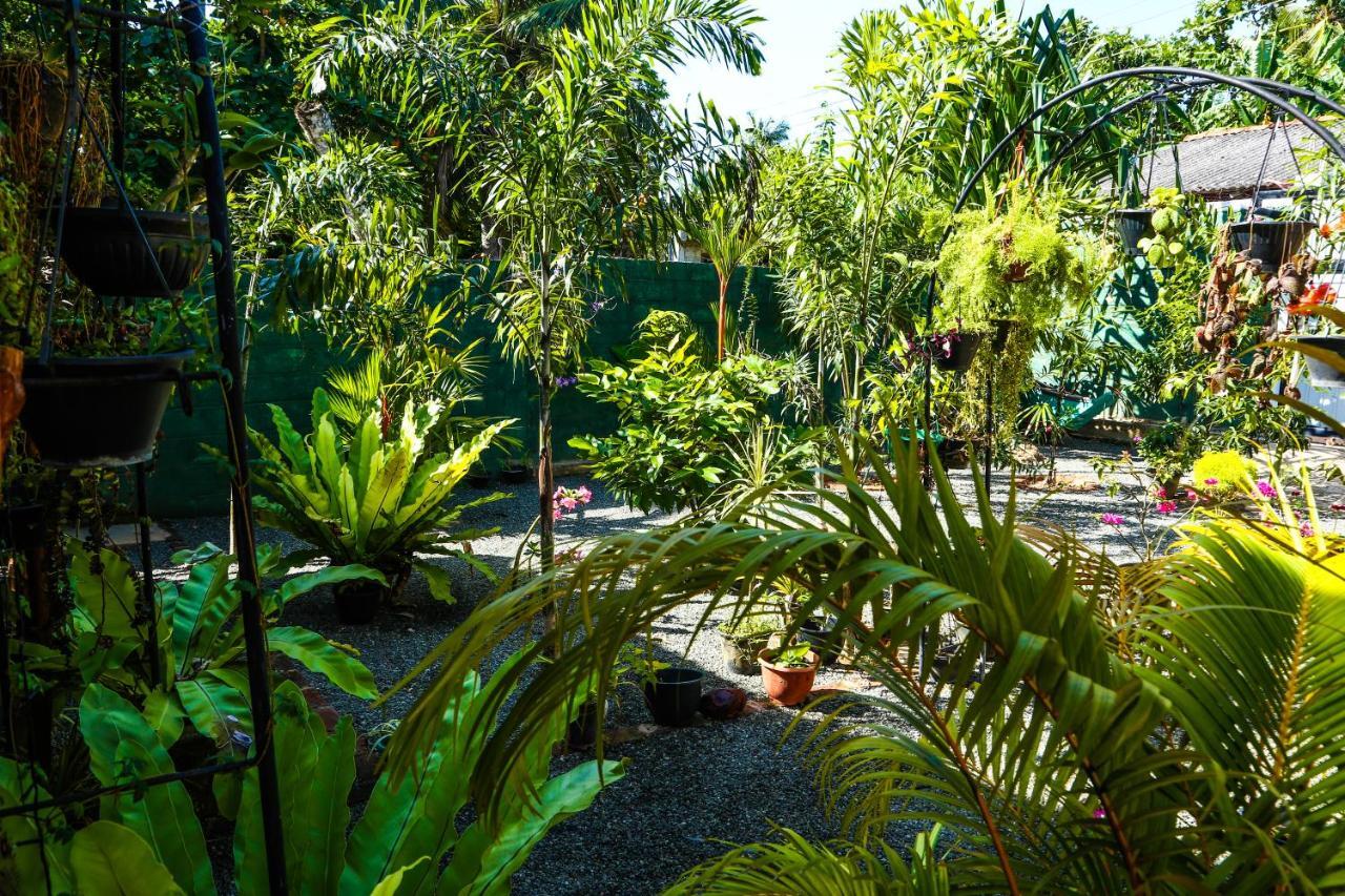 Ruwan Jungle Homestay Mirissa Eksteriør bilde